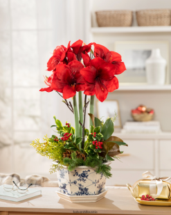 Balsam Hill Amaryllis-Blumenarrangement ZHVJF168 Dekoration