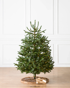 Balsam Hill Baby Nordmann ZHVJF333 Dekoration