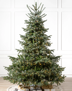 Balsam Hill Europäische Tanne ZHVJF17 Baum