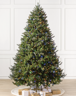 Balsam Hill Felsige Latschenkiefer ZHVJF60 Baum