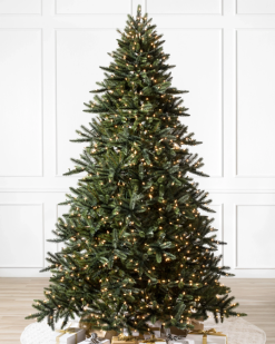 Balsam Hill Kalifornischer Baby-Mammutbaum ZHVJF62 Baum