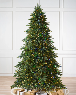 Balsam Hill Kalifornischer Babymammutbaum ZHVJF43 Baum